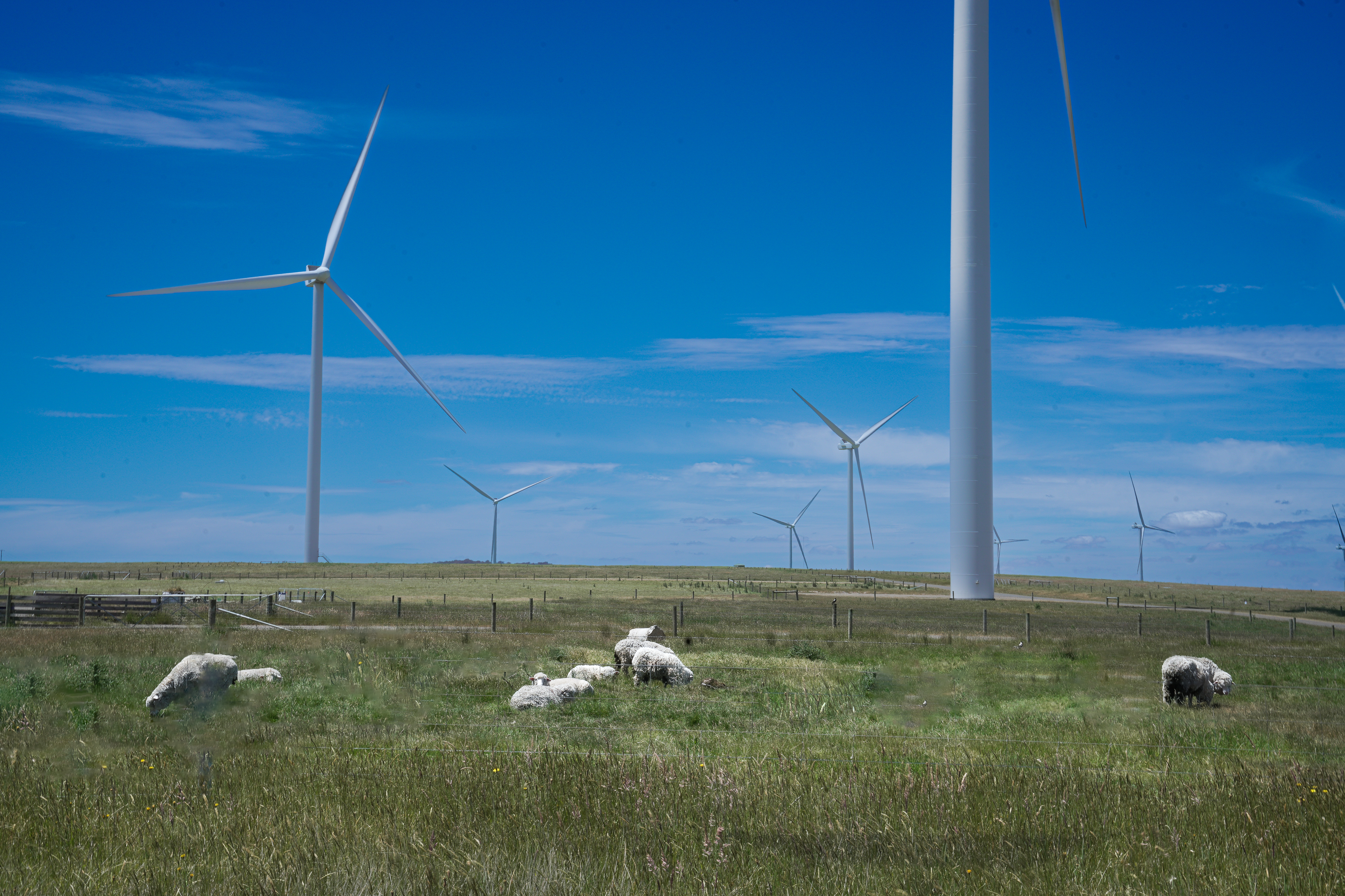 Do large-scale renewable energy projects reduce nearby property values or increase insurance premiums?